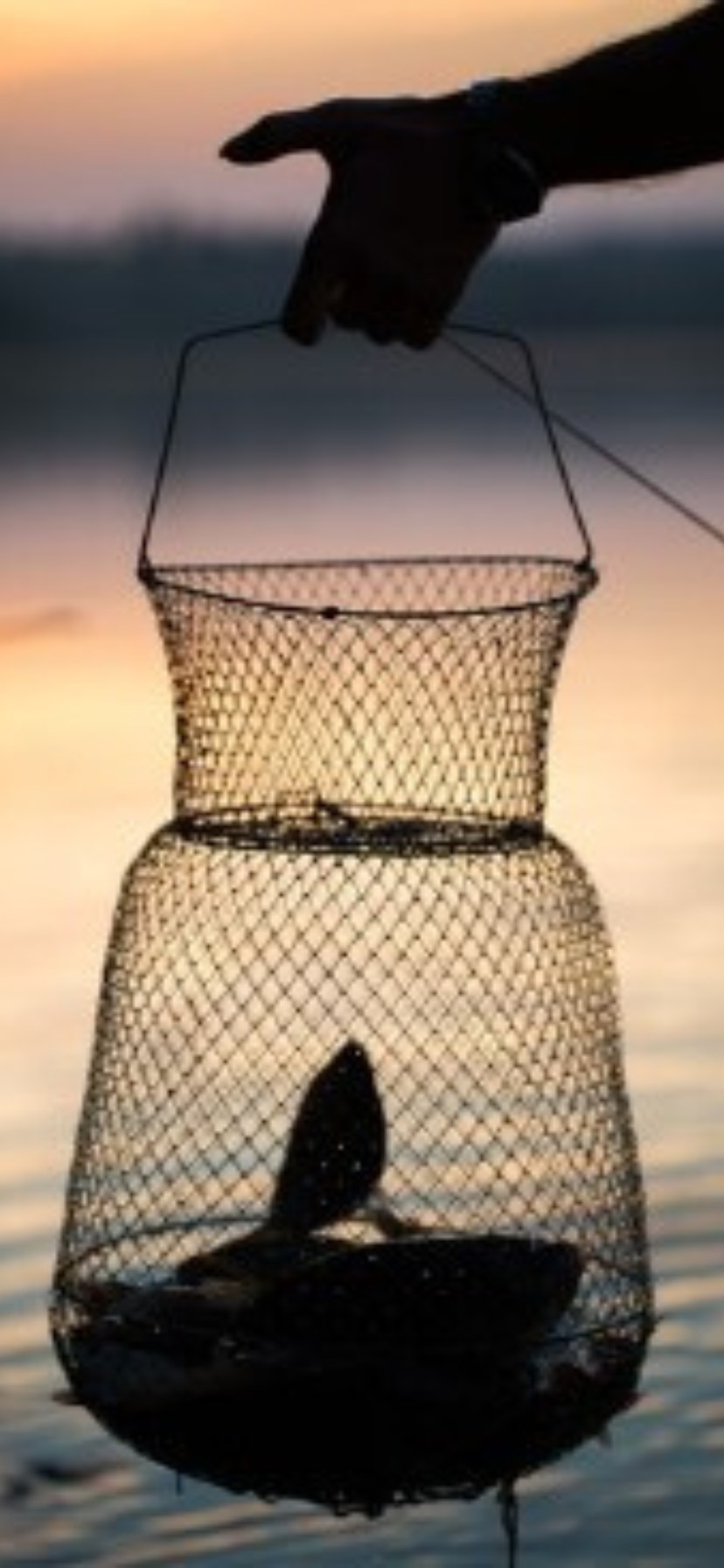 fish catching net, fish catching net Suppliers and Manufacturers