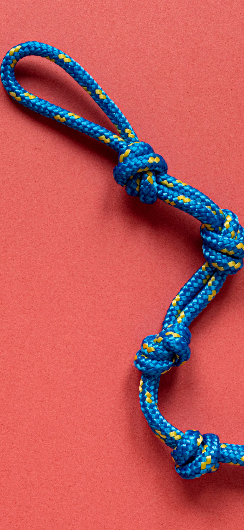 Nylon Rope vs PP Rope: Differences, Properties, and Uses