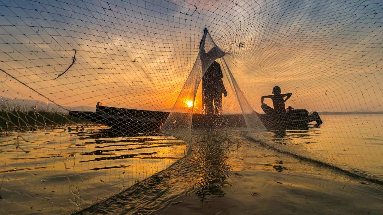 Get Hooked on Fishing: The Future of Sustainable Fishing Net
